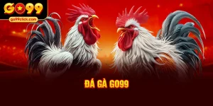 Đá gà Go99