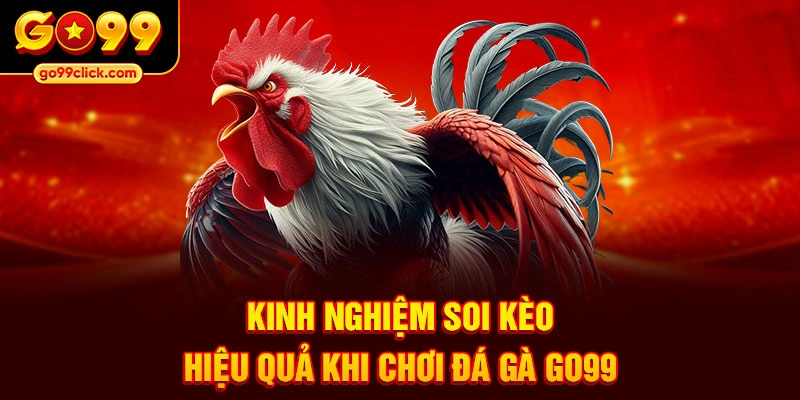 Kinh nghiệm soi kèo hiệu quả khi chơi đá gà Go99