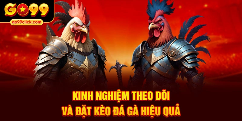 Kinh nghiệm theo dõi và đặt kèo đá gà hiệu quả
