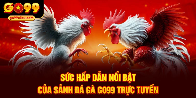 Sức hấp dẫn nổi bật của sảnh đá gà Go99 trực tuyến